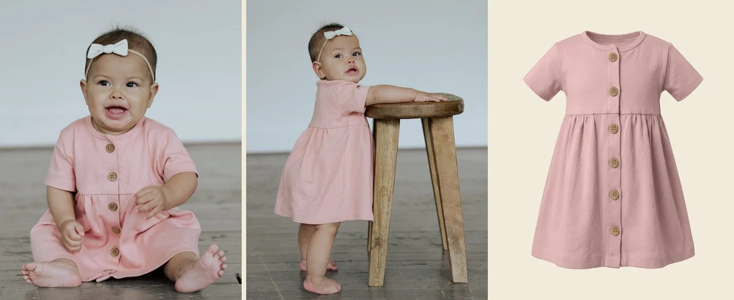 Penelope Dress in Rose
